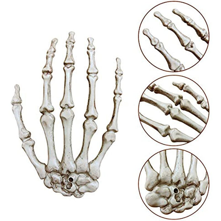 Decorative Skeleton Hand Wall Art Bowlift