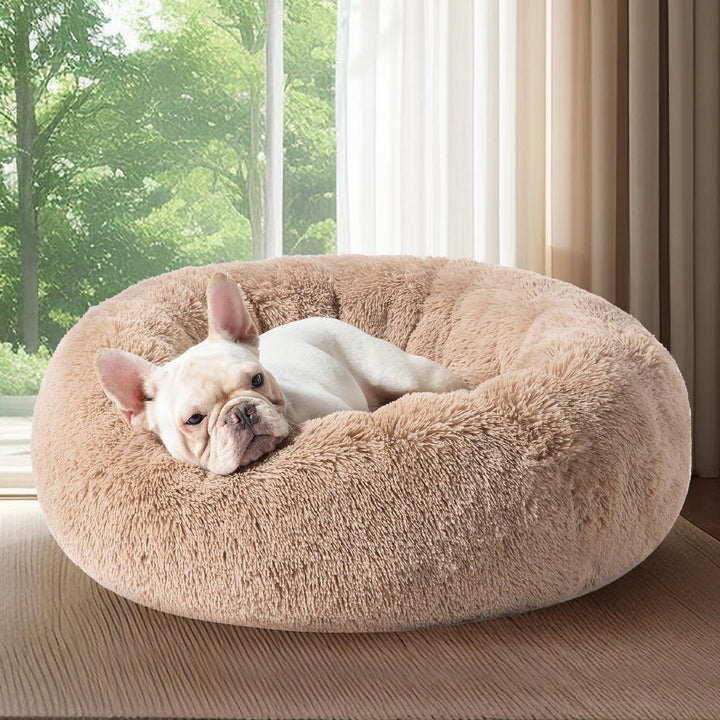 Women Cozy Pet Bed Bowlift