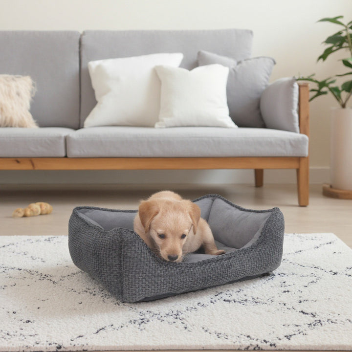 Cozy dog bed