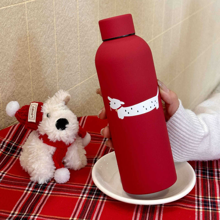 Ladies insulated and stylish drinking bottle Bowlift