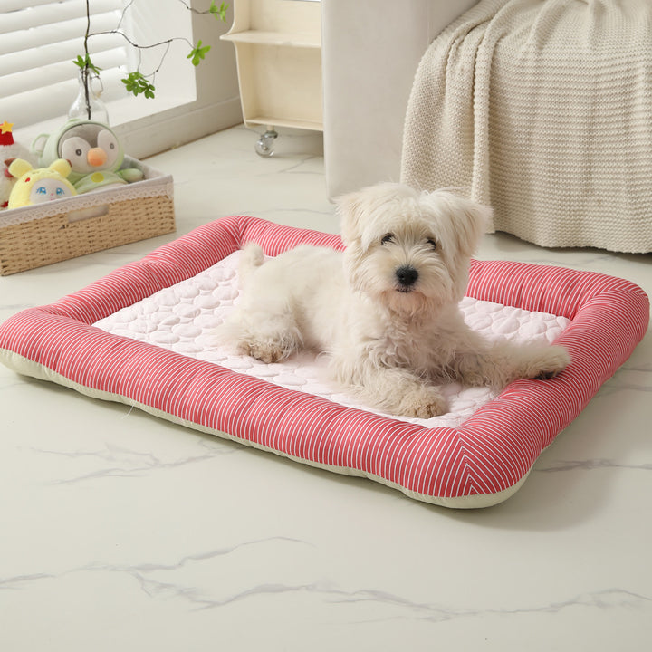 Dog Bed