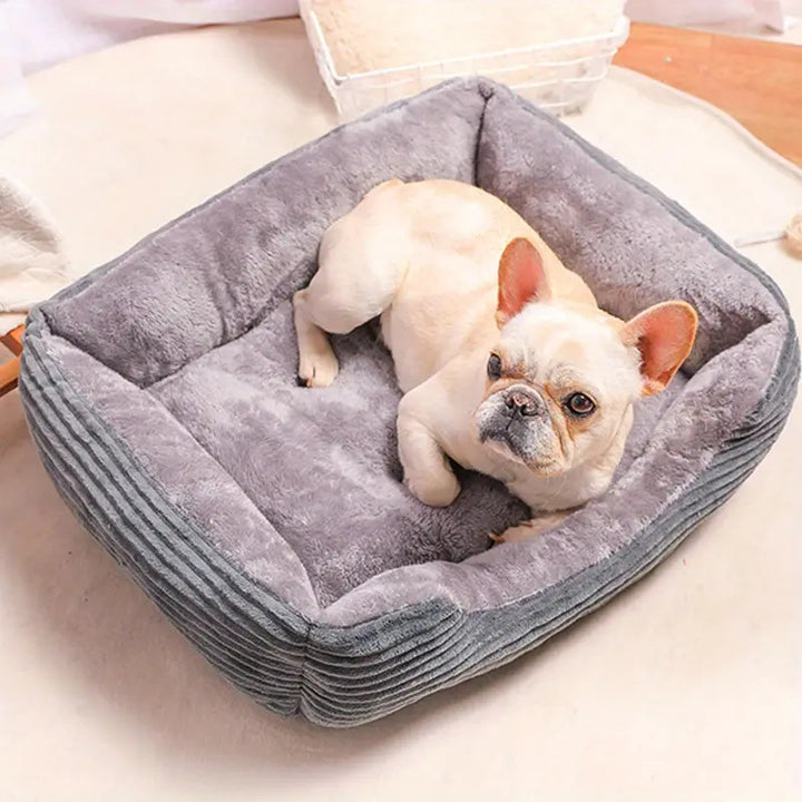 Comfort-Enhanced Orthopedic Dog Bed