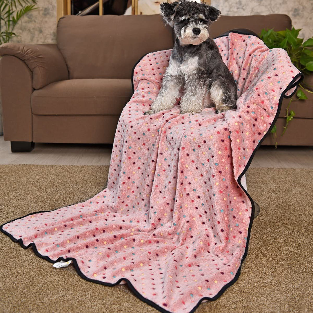Ladies Cozy Microfiber Blanket with Playful Pattern Bowlift