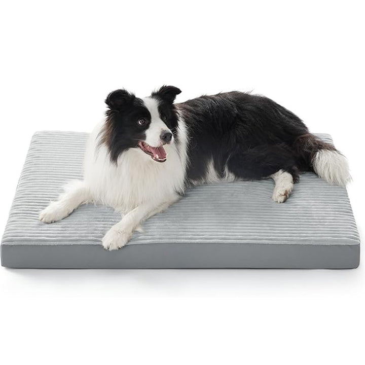Dog Bed