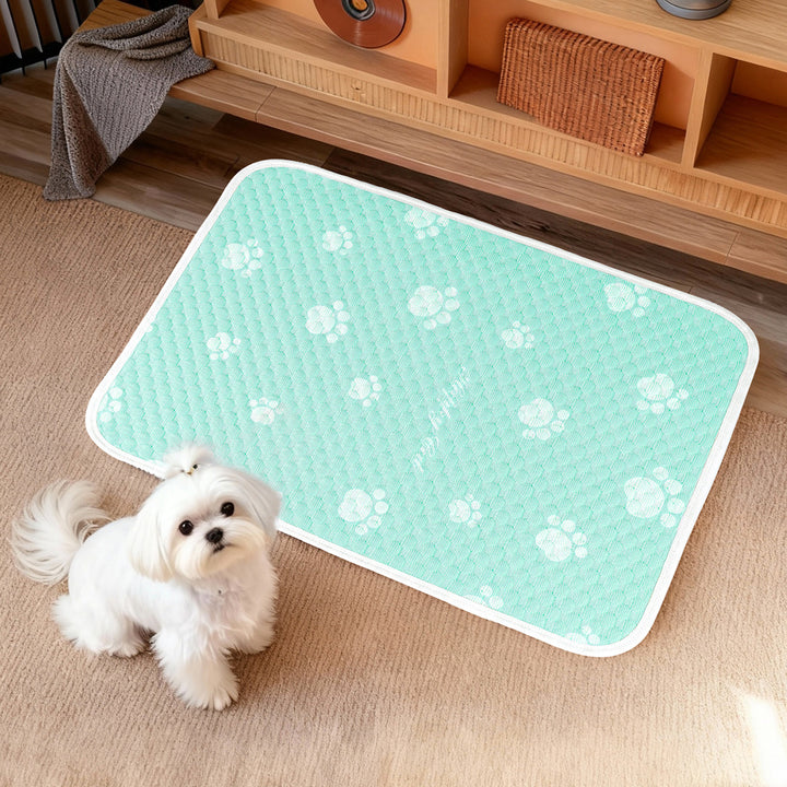 Women's Comfortable and Breathable Pet Resting Mat with Non-Slip Bottom Bowlift