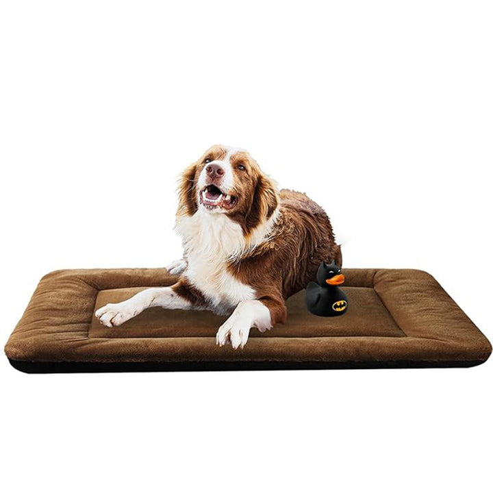 Comfort   Dog Bed