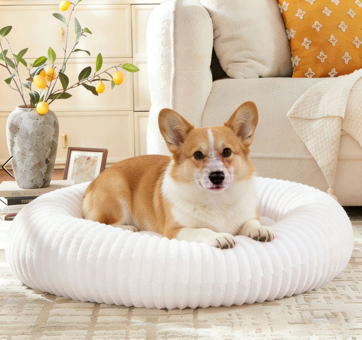 Stylish Round dog bed