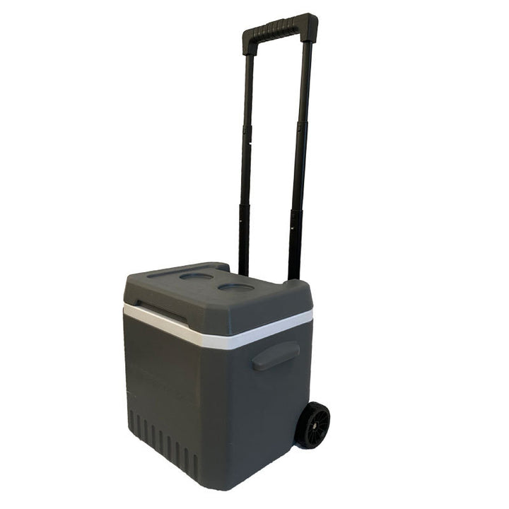 Ladies cooler bag with extendable handle and wheels Bowlift