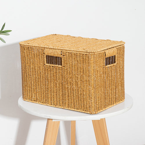 Women's Rectangular Storage Basket with Lid made of Natural Material Bowlift