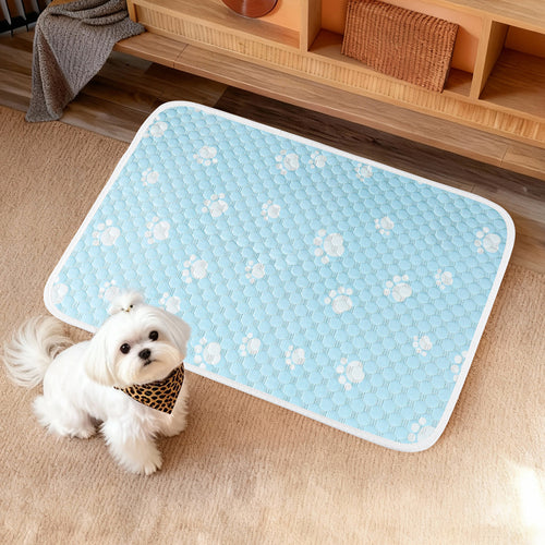 Women Hygienic and Non-Slip Pet Mat Bowlift