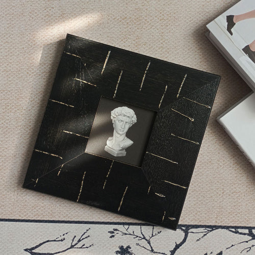 Artistic 3D Preserved Wall Decoration