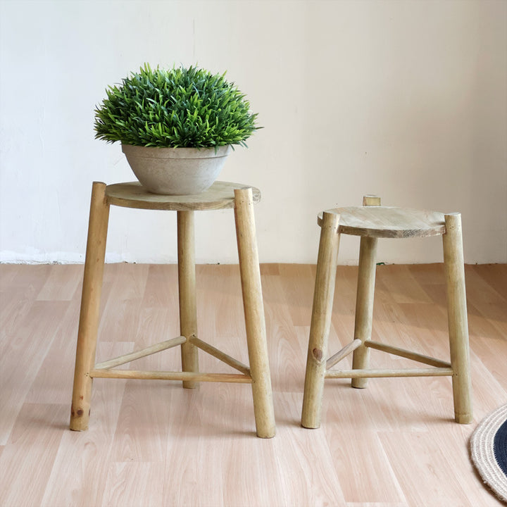 Massive wooden stool Bowlift