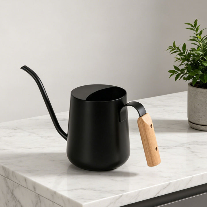 Elegant Stainless Steel Watering Can