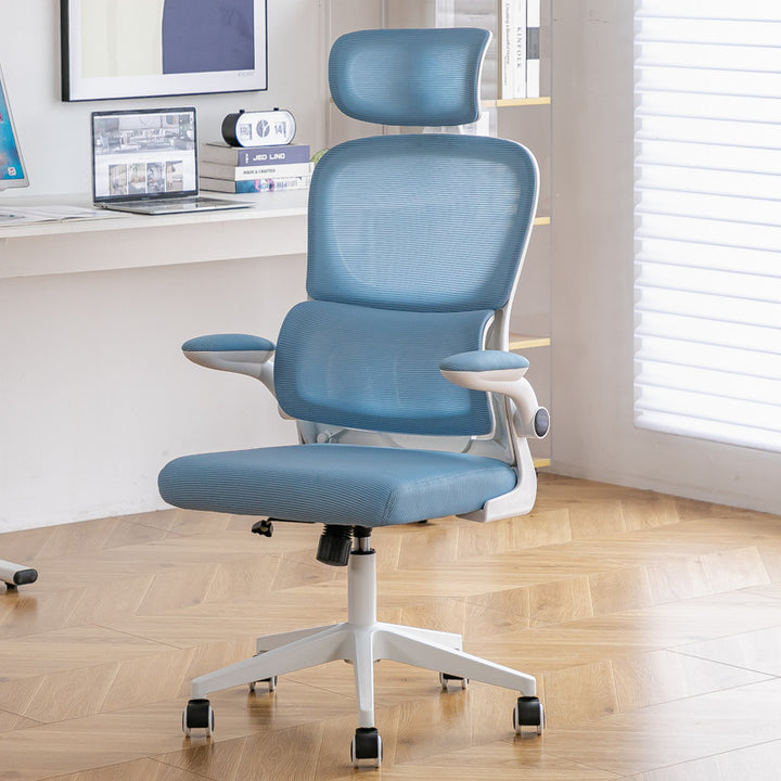 Ergonomic Office Chair Bowlift