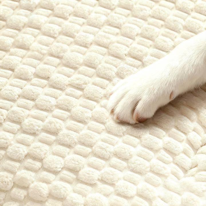 Women's Cozy and Reversible Blanket with High-Quality Surface Texture Bowlift