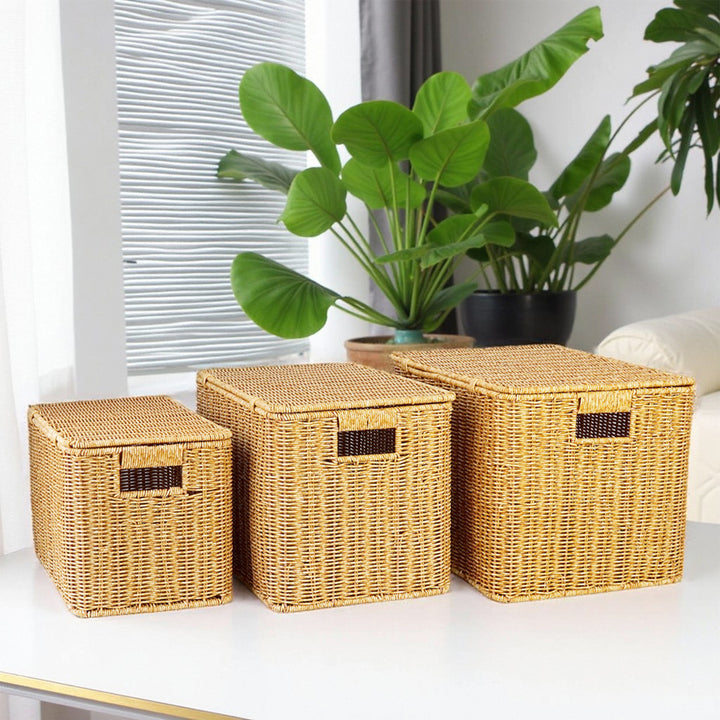 Handwoven Wicker Storage Chest Bowlift