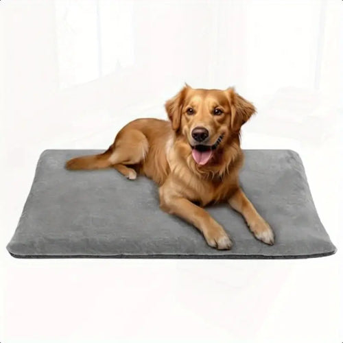Premium Memory Foam Dog Bed