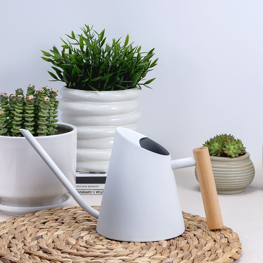Stylish Metal Watering Can