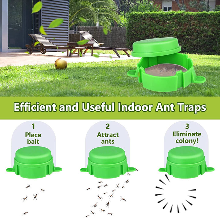 Ant wasp trap with refill system Bowlift
