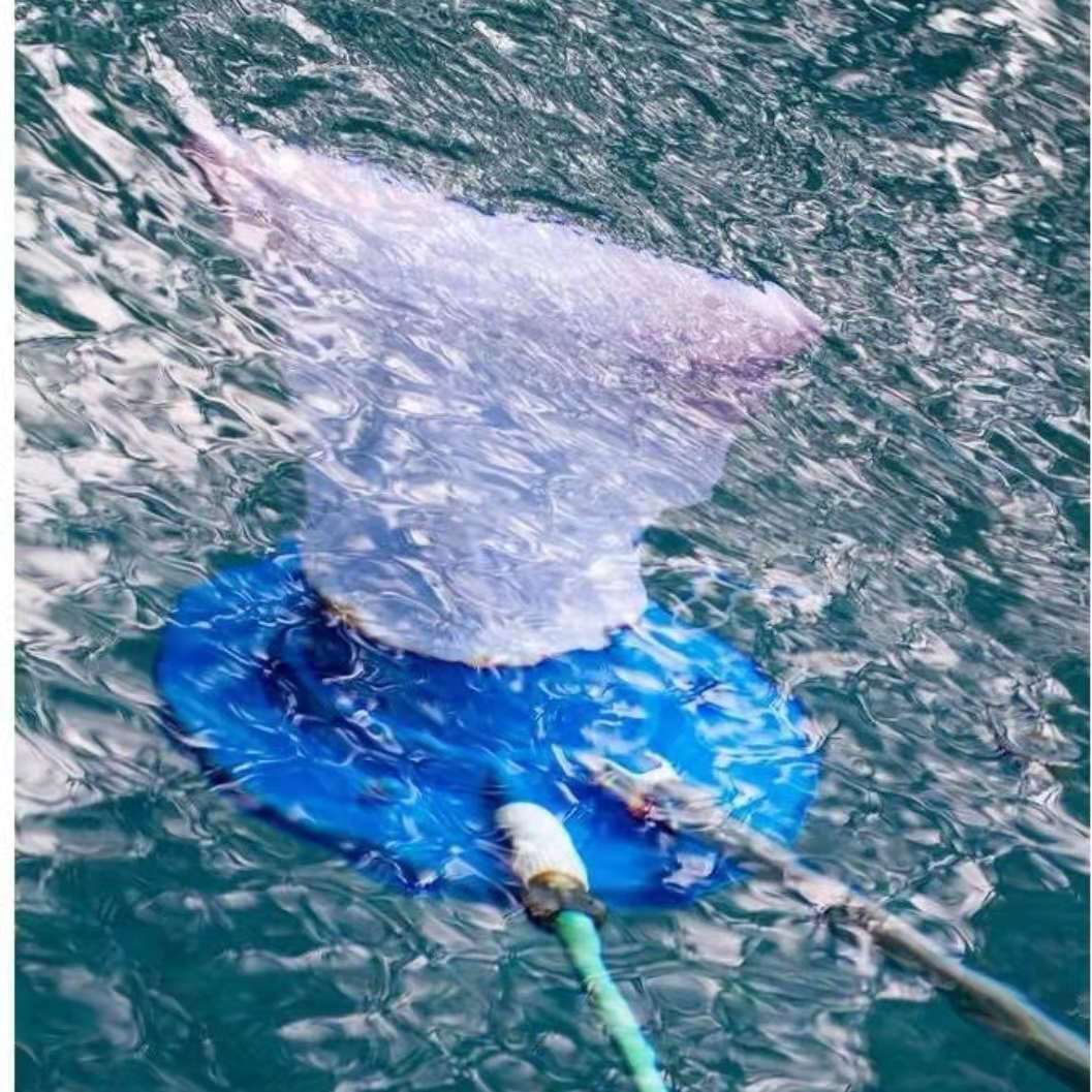 Automatic suction pool leaf vacuum bag with reusable fine mesh and universal hose connector Bowlift