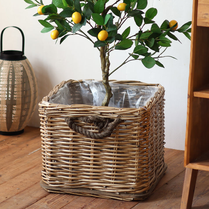 Laundry Basket Bowlift