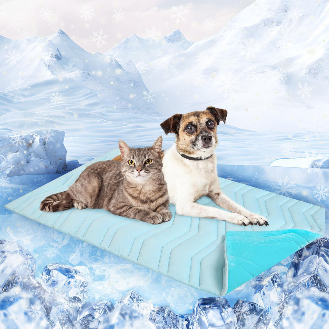 Unisex cooling and comfortably padded pet mat Bowlift