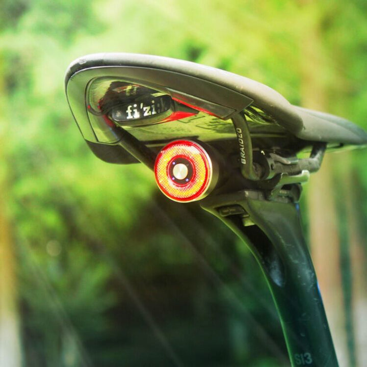 Bicycle Rear Safety Light with Quick-Release Saddle Clamp Bowlift