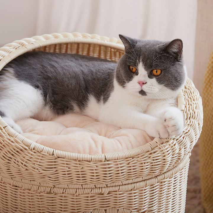 Cat bed Bowlift