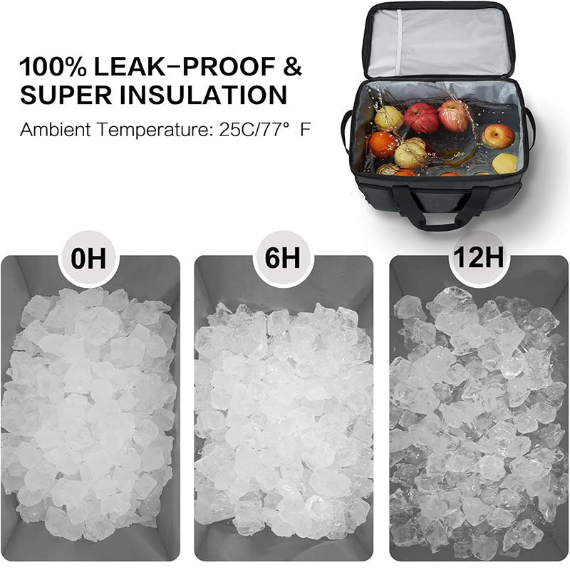 Ladies Insulated Picnic Cooler Bag Bowlift