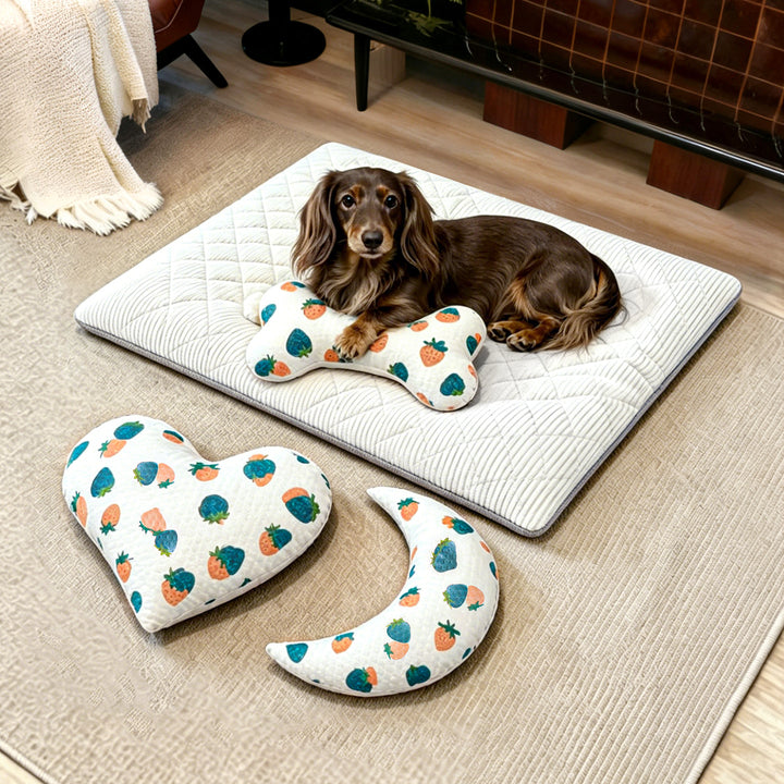 Unisex Stylish and Comfortable Pet Mat with Sleeping Cushion Bowlift