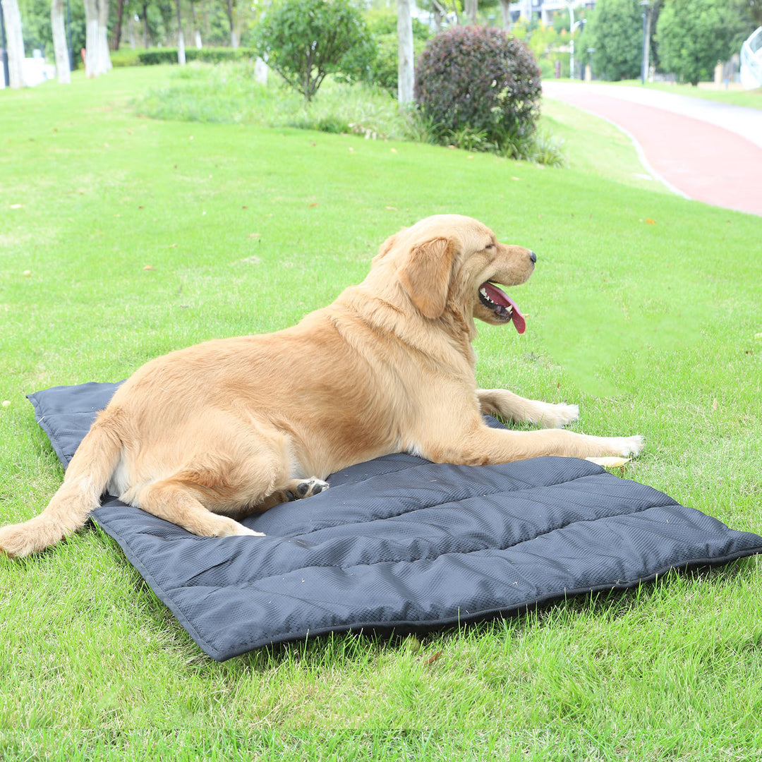 Cooling Mat   Dog Bed