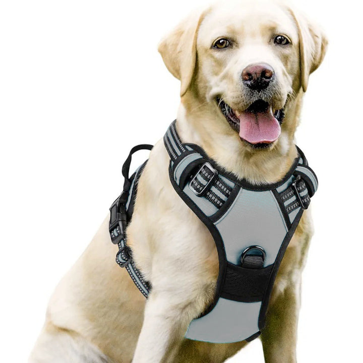 Reflective Padded No-Pull Dog Harness and Rope Leash Set with Padded Handle Bowlift