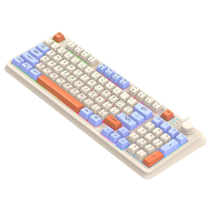 Wired RGB Mechanical Gaming Keyboard and Ergonomic Mouse Combo Bowlift