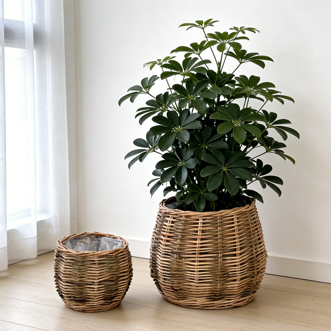 Handcrafted basket with natural flair Bowlift