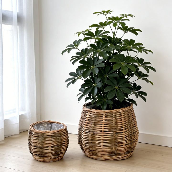 Handcrafted basket with natural flair Bowlift