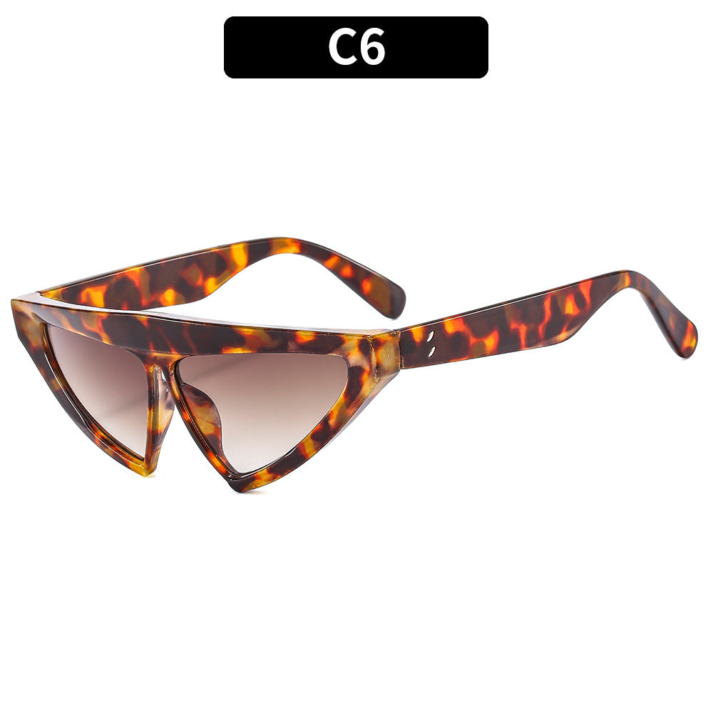 Triangular Frame Sunglasses