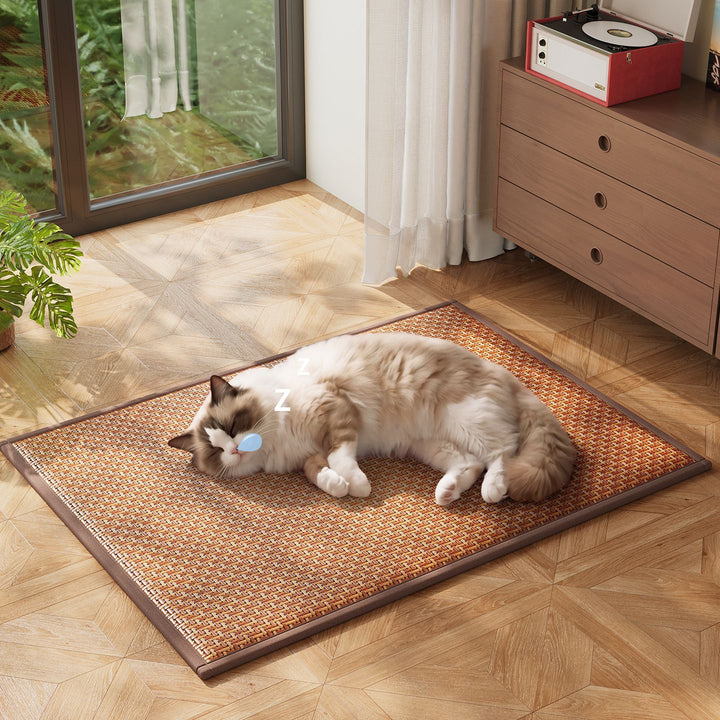 Premium Comfort Pet Mat Bowlift