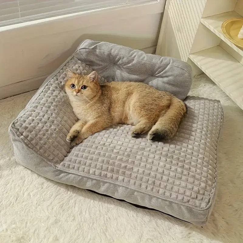 Elevated Orthopedic  Lounge  Dog Bed