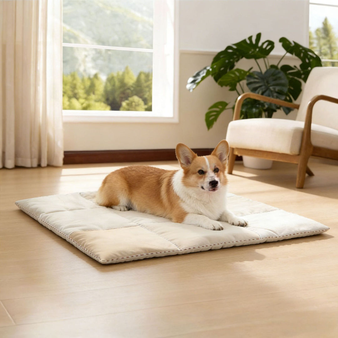 Outdoor Portable dog Sleeping Pad