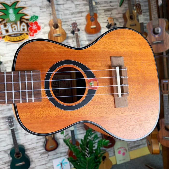 21-Inch Travel Ukulele Bowlift
