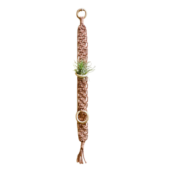 Macrame Wall Plant Holder Bowlift