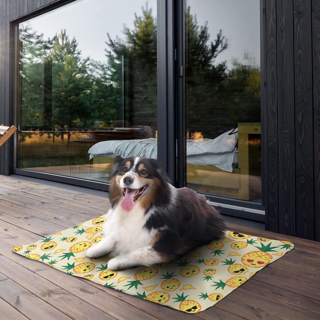 Unisex nan cool mat for pets portable non-slip gel mat Bowlift