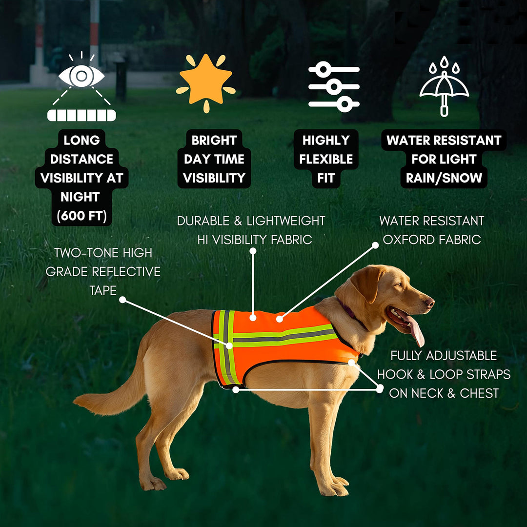Unisex safety vest for dogs by Bowlift