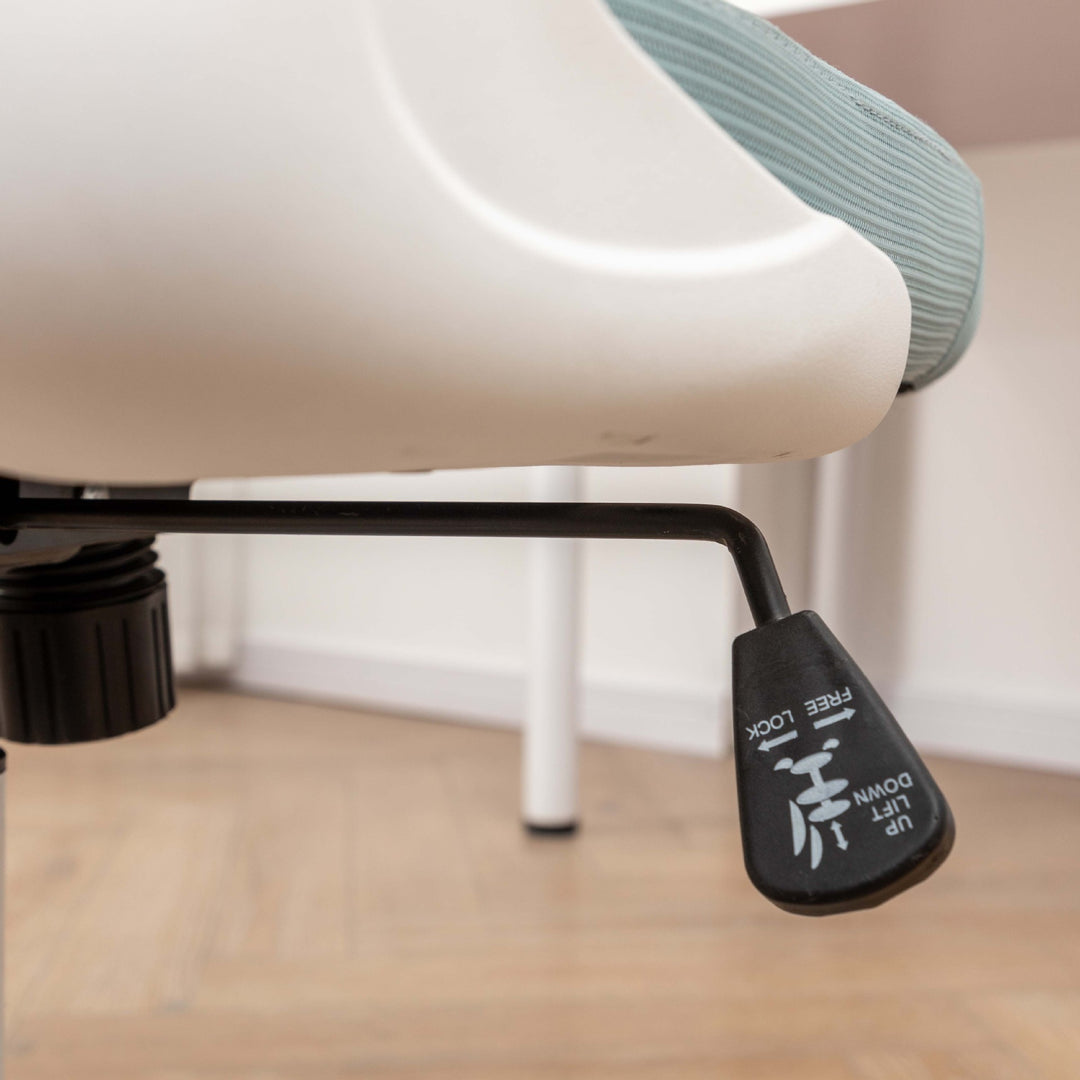 Ergonomic Office Chair Bowlift