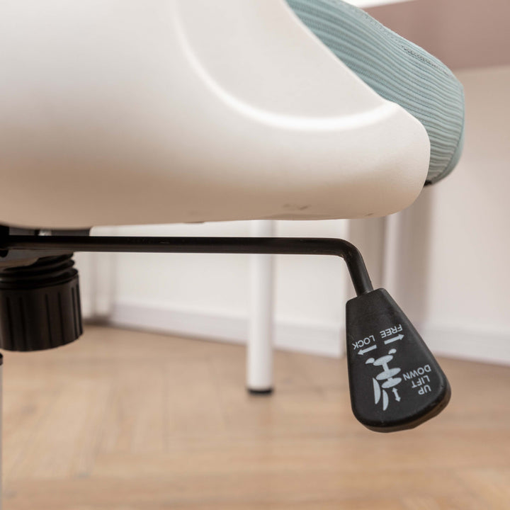 Ergonomic Office Chair Bowlift