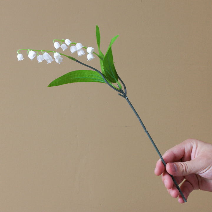 Realistic Lily of the Valley Floral Stem