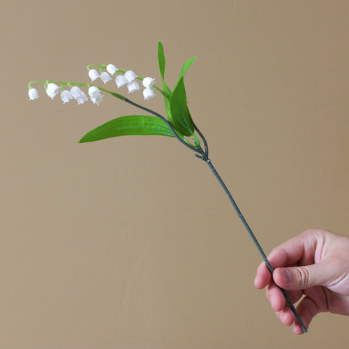 Realistic Lily of the Valley Floral Stem