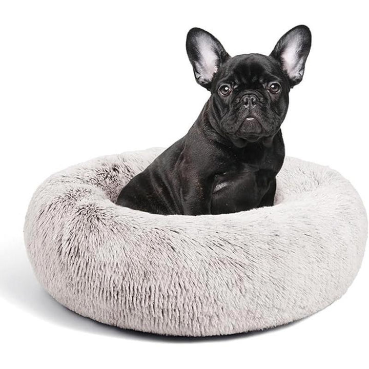 Cozy Dog Bed