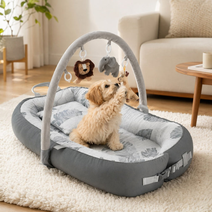 Activity Play  Lounger   Dog Bed