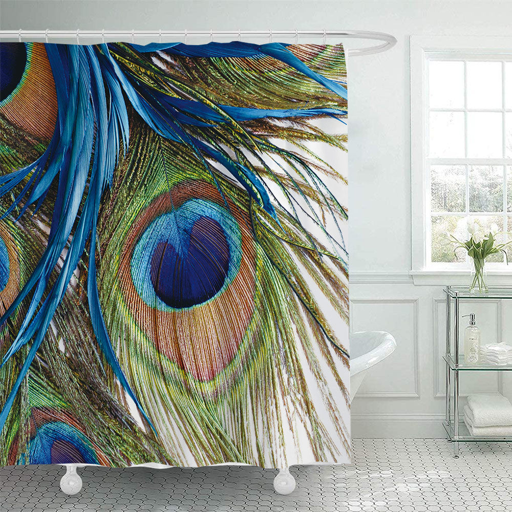 Artistic Peacock Feather Shower Curtain Bowlift